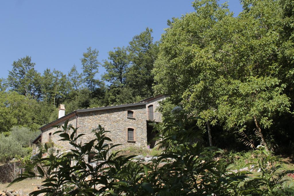 Case Vacanza S. Nicola Viggianello Exterior photo